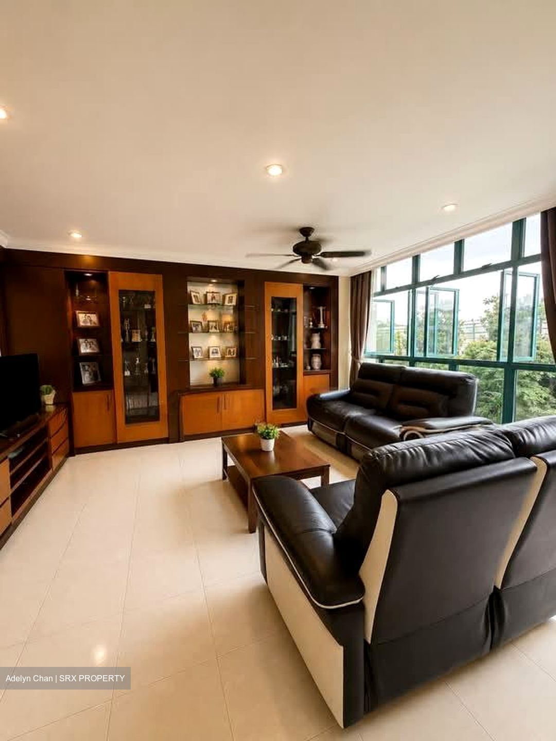 Blk 478 Segar Gardens (Bukit Panjang), HDB Executive #579190541